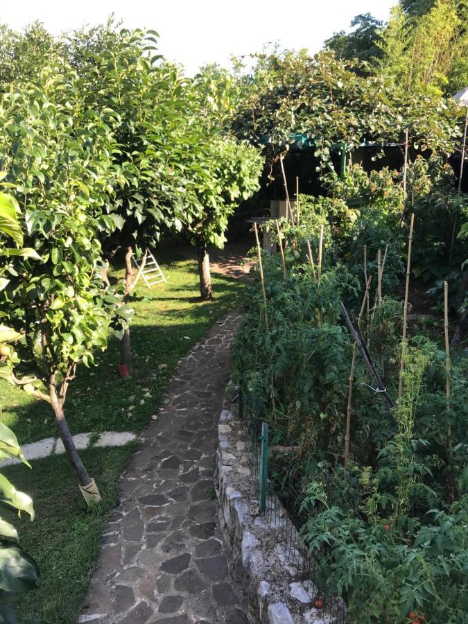 Studio Apartman Lavanda Matulji Dış mekan fotoğraf