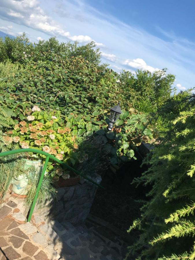 Studio Apartman Lavanda Matulji Dış mekan fotoğraf